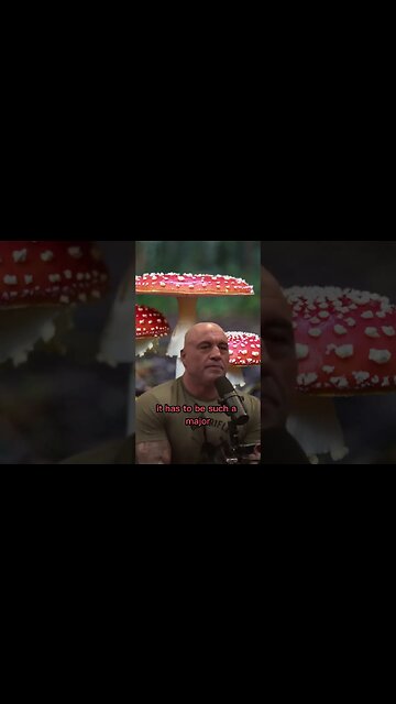 Where does the myth of Santa's reindeer flying come from? Joe Rogan and Neil Degrasse Tyson