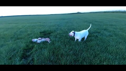 Famke en Winnie in Hemelum langs de autobaan bij het Fluessen meer.