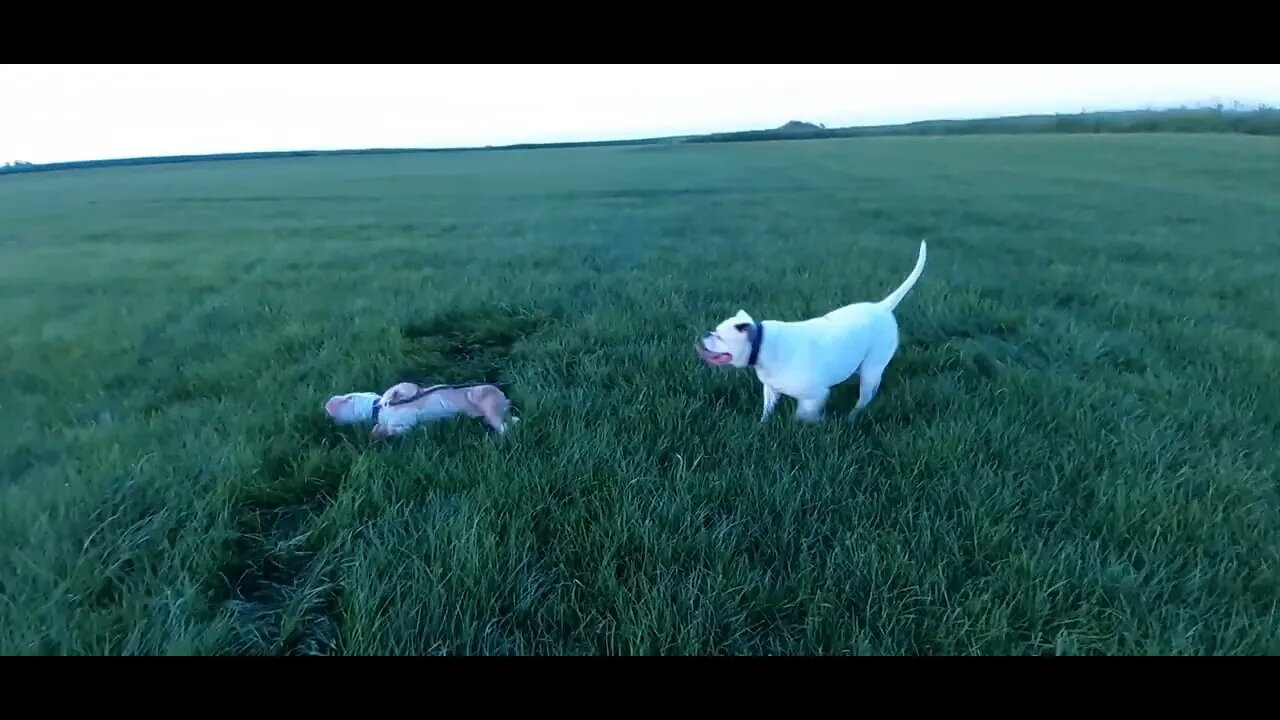 Famke en Winnie in Hemelum langs de autobaan bij het Fluessen meer.