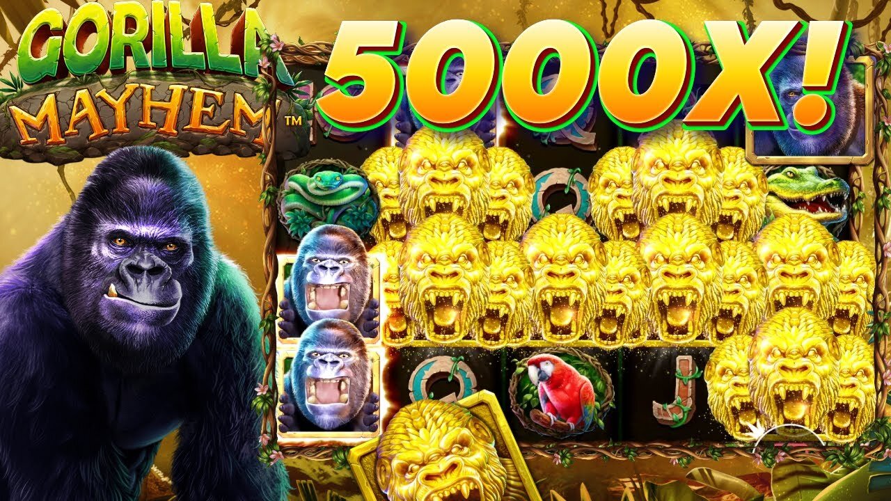 SEEN ON GORILLA MAYHEM! THE FIRST MAX WIN I HAVE EVER