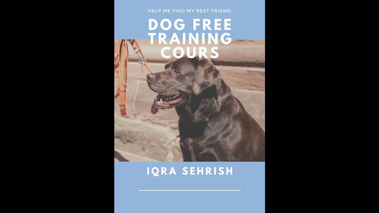 Incredible Dog training "Hidden Intelligence" To eliminate bad behavior and Create the obedient,