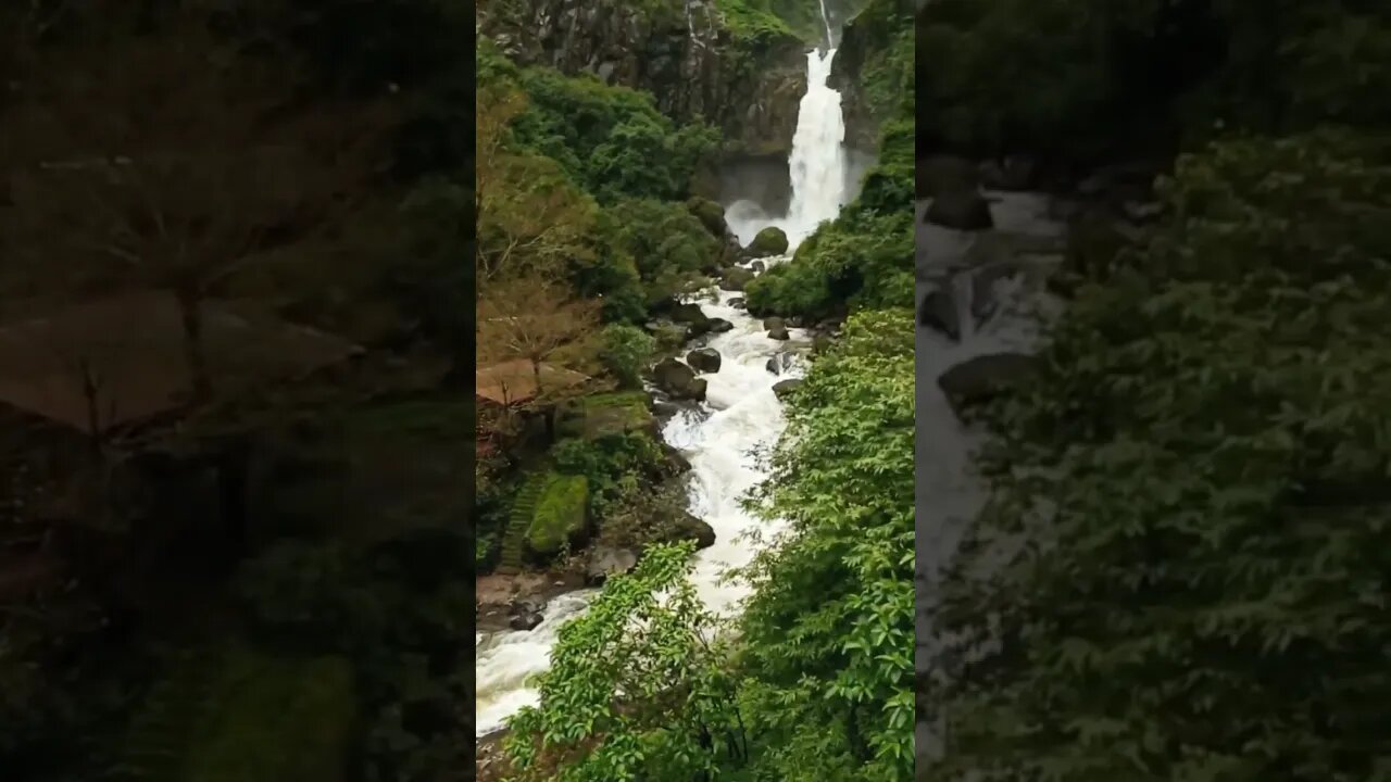 हर हर मार्लेश्वर 🙏🏼