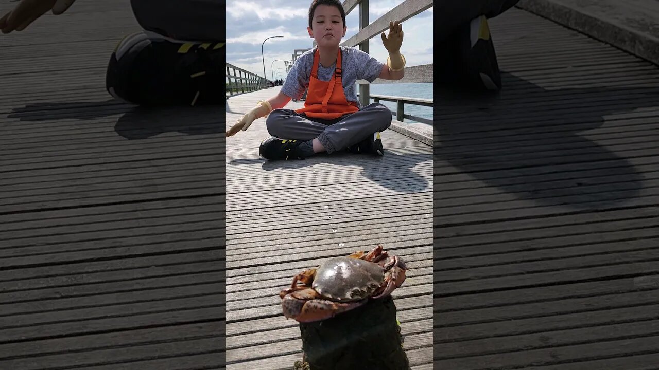 Giant Crab 💥