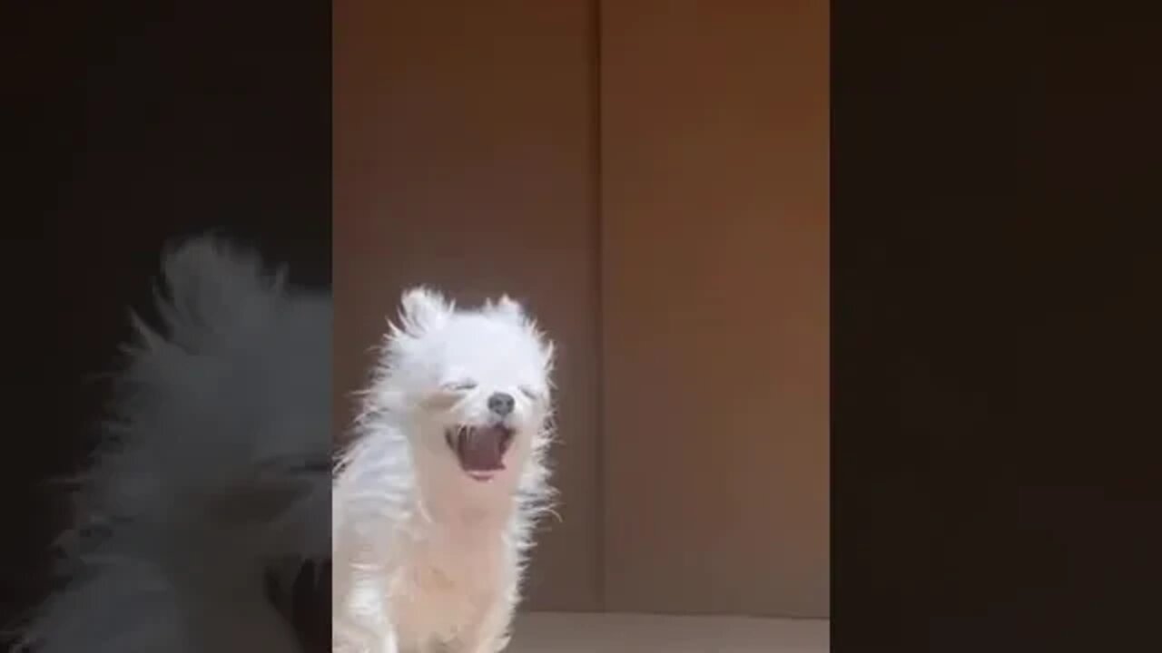 he can't even swallow