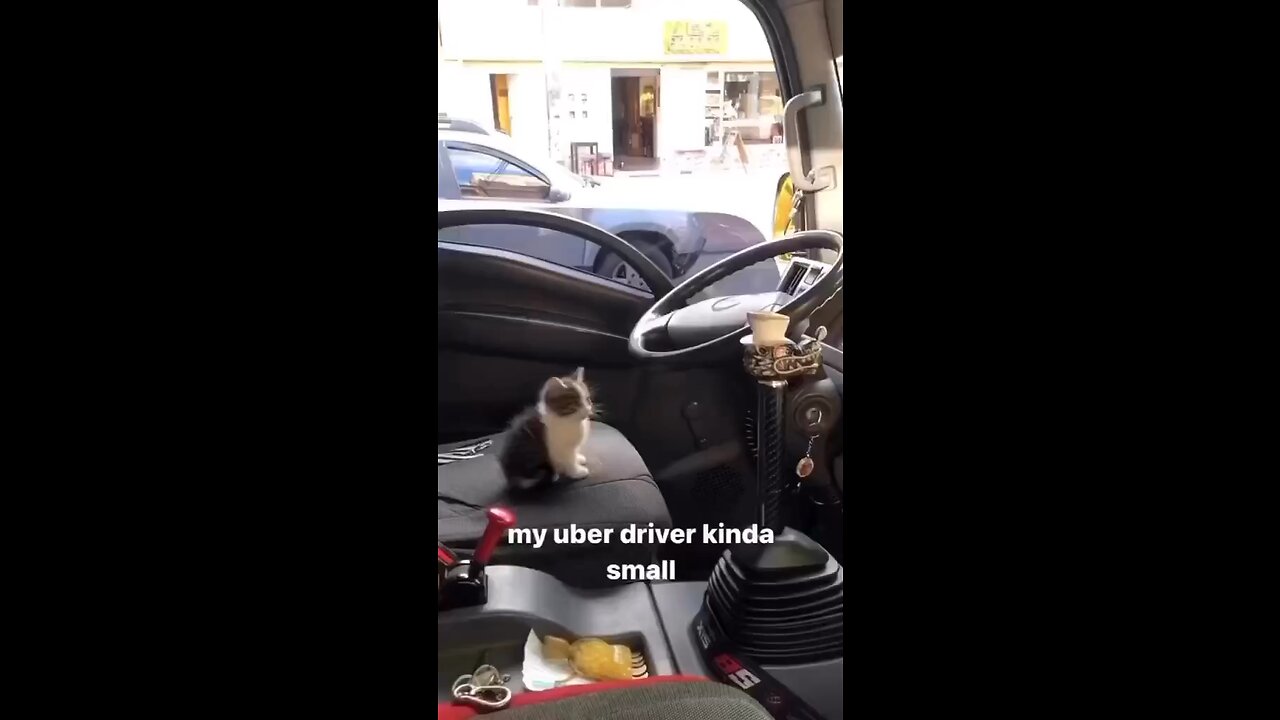 😂😂😂