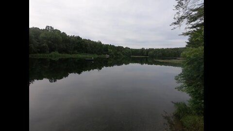 Lake Heron Pennsylvania