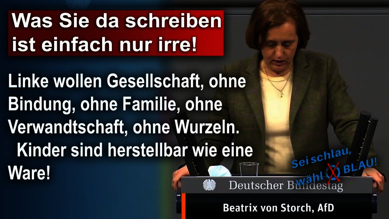 Was Sie da schreiben ist einfach nur irre, Beatrix von Storch AfD