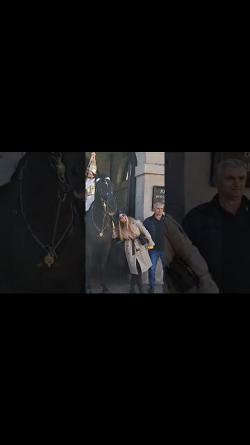 tourist over stepping the mark #horseguardsparade