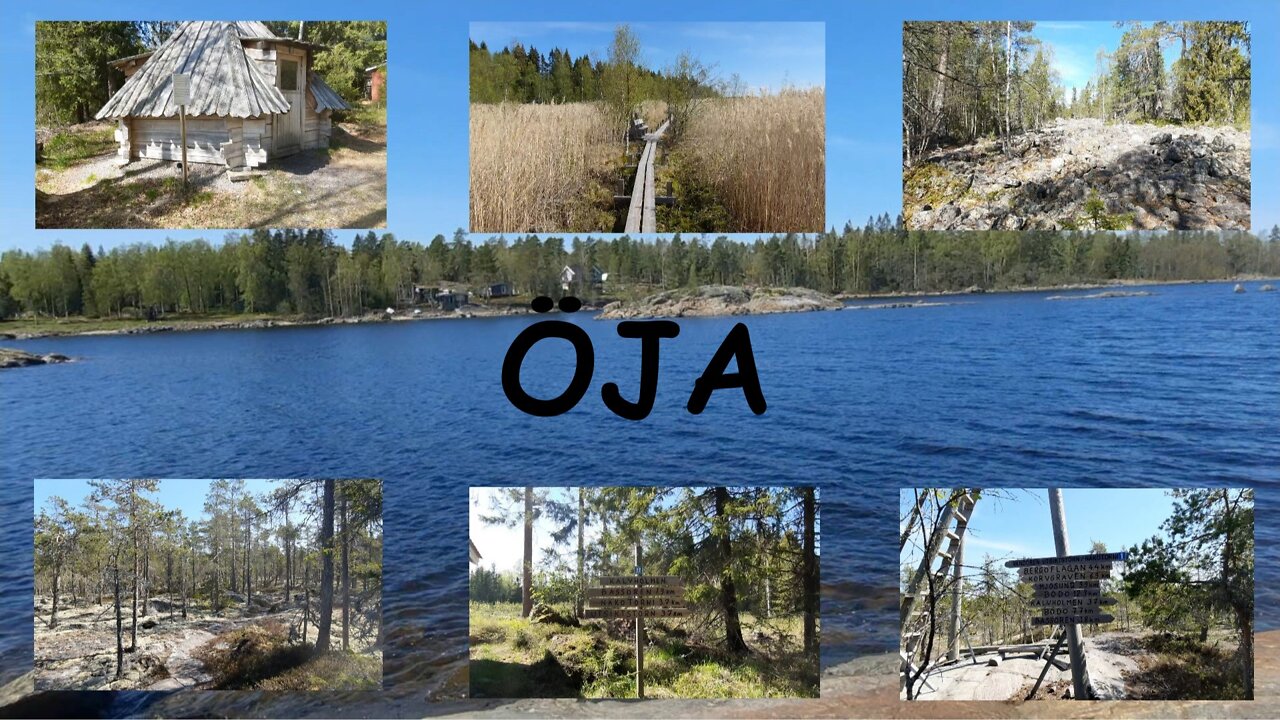 My Hike, May 24 2022