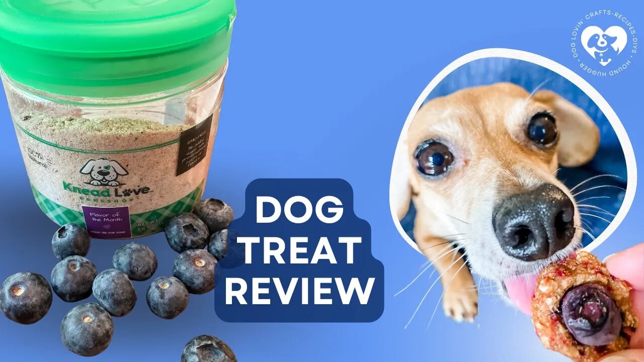 Knead Love's Apple, Berries & Oats Dog Treat Review