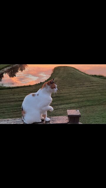 What a Pleasant Surprise