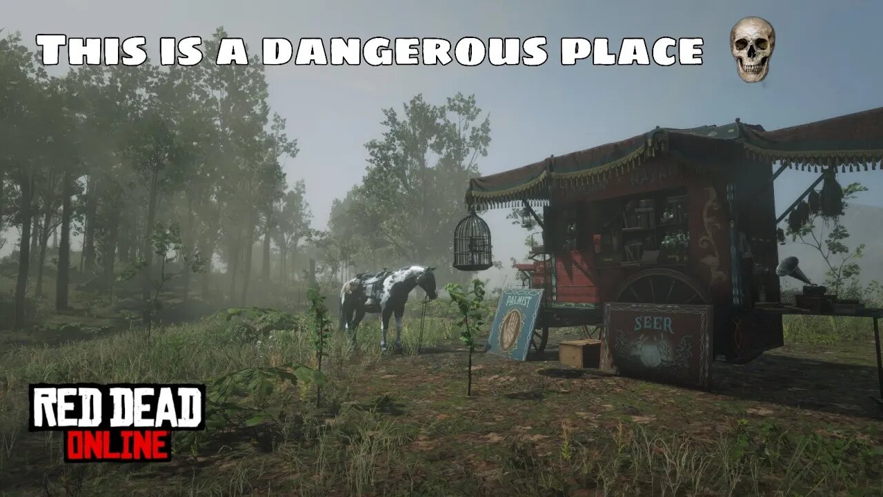 This is a dangerous place / Red Dead Redemption