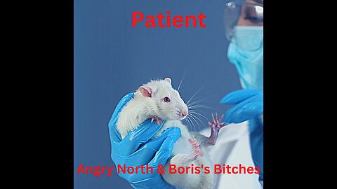 Patient - A song by Angry North and Boris's Bitches