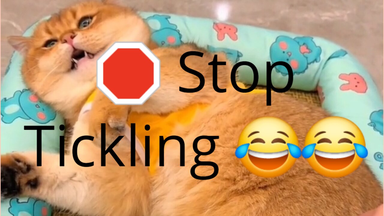 🛑 Stop Tickling 😂