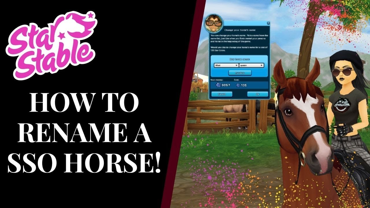 How To: Rename a Horse On SSO! Star Stable Quinn Ponylord