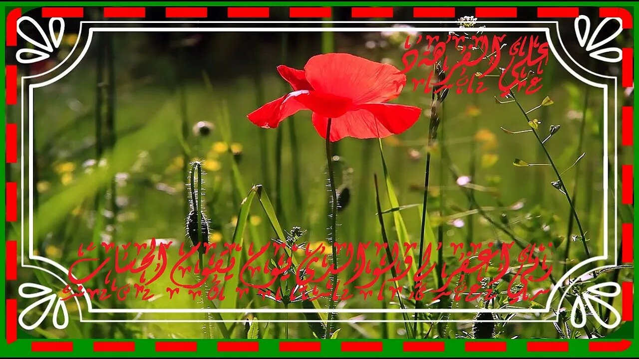 تلاوة خاشعة مؤثرة@nsrm11