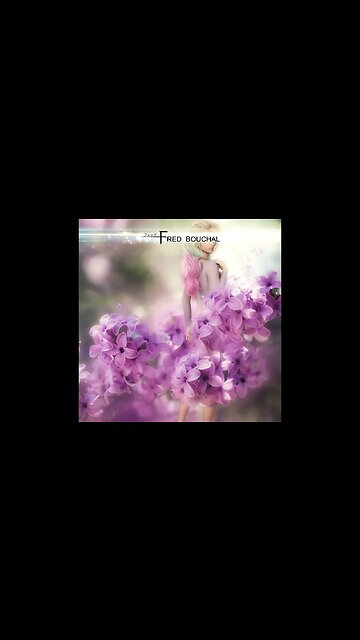 Enchanted Nights #newmusic #music #magical #soundtrack