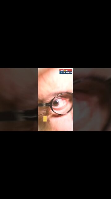 MORRE FAMOSO ATOR DA GLOBO!!! #AntônioPedro #TVGlobo #Luto #CulturaBrasileira