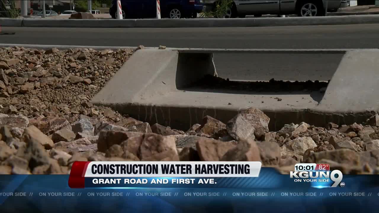 New policy mandates water harvesting at all Tucson construction sites