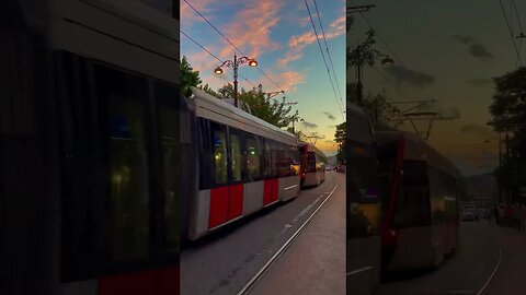 Tram of Belgrade #serbia #trams #travel #1minutevideo ##belgrade #viralshort