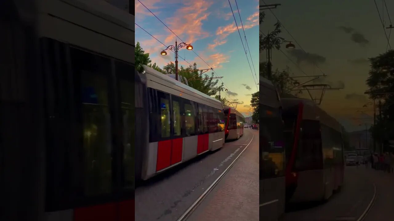 Tram of Belgrade #serbia #trams #travel #1minutevideo ##belgrade #viralshort