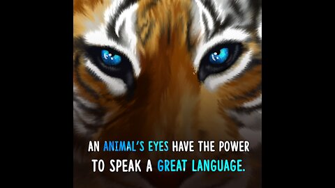 An Animal's Eyes [GMG Originals]