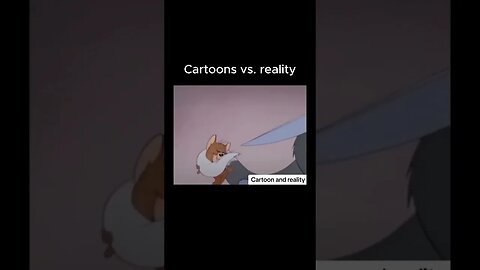 Cartoon vs. Reality