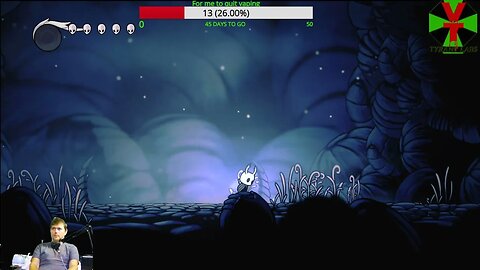 Hollow Knight revisited 1