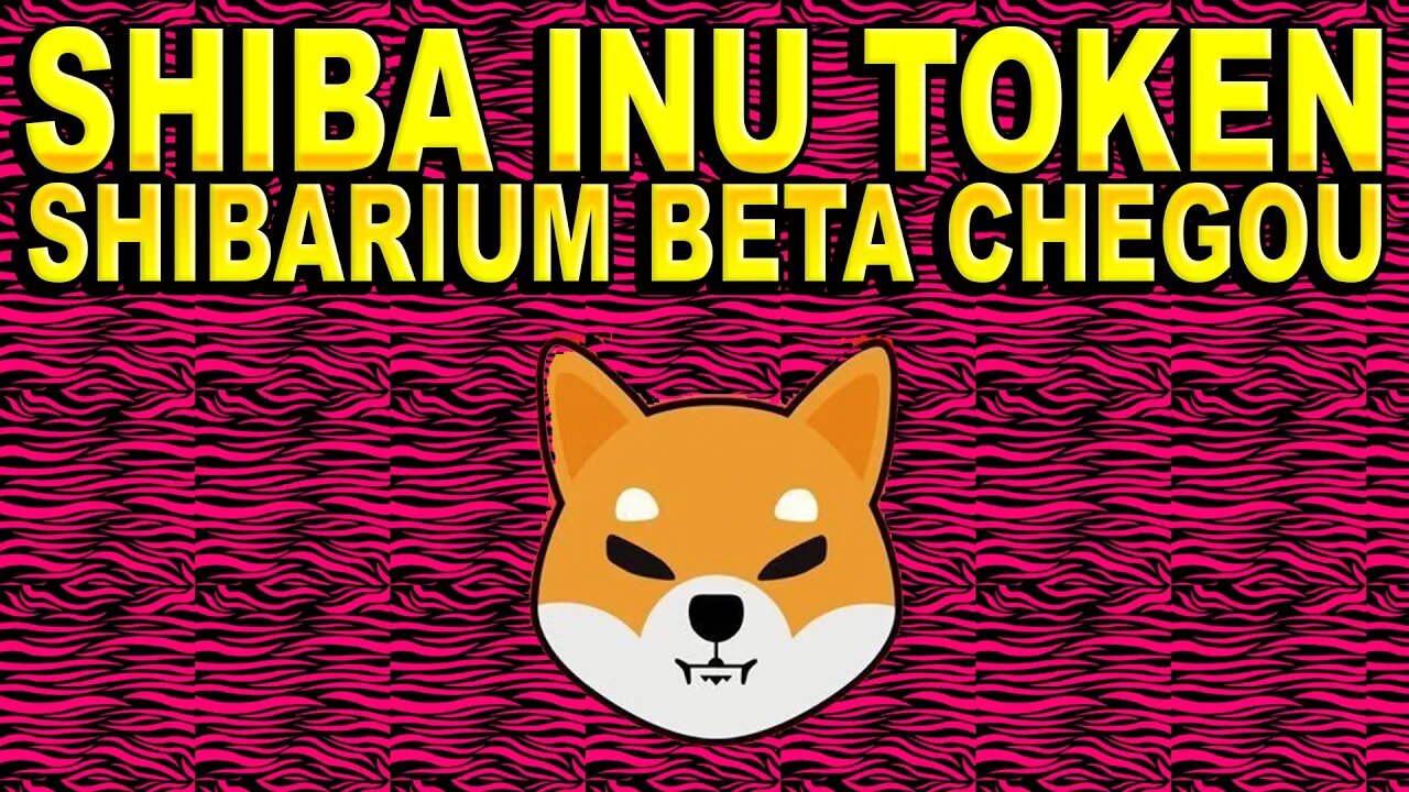 SHIBA INU TOKEN SHIBARIUM BETA CHEGOU