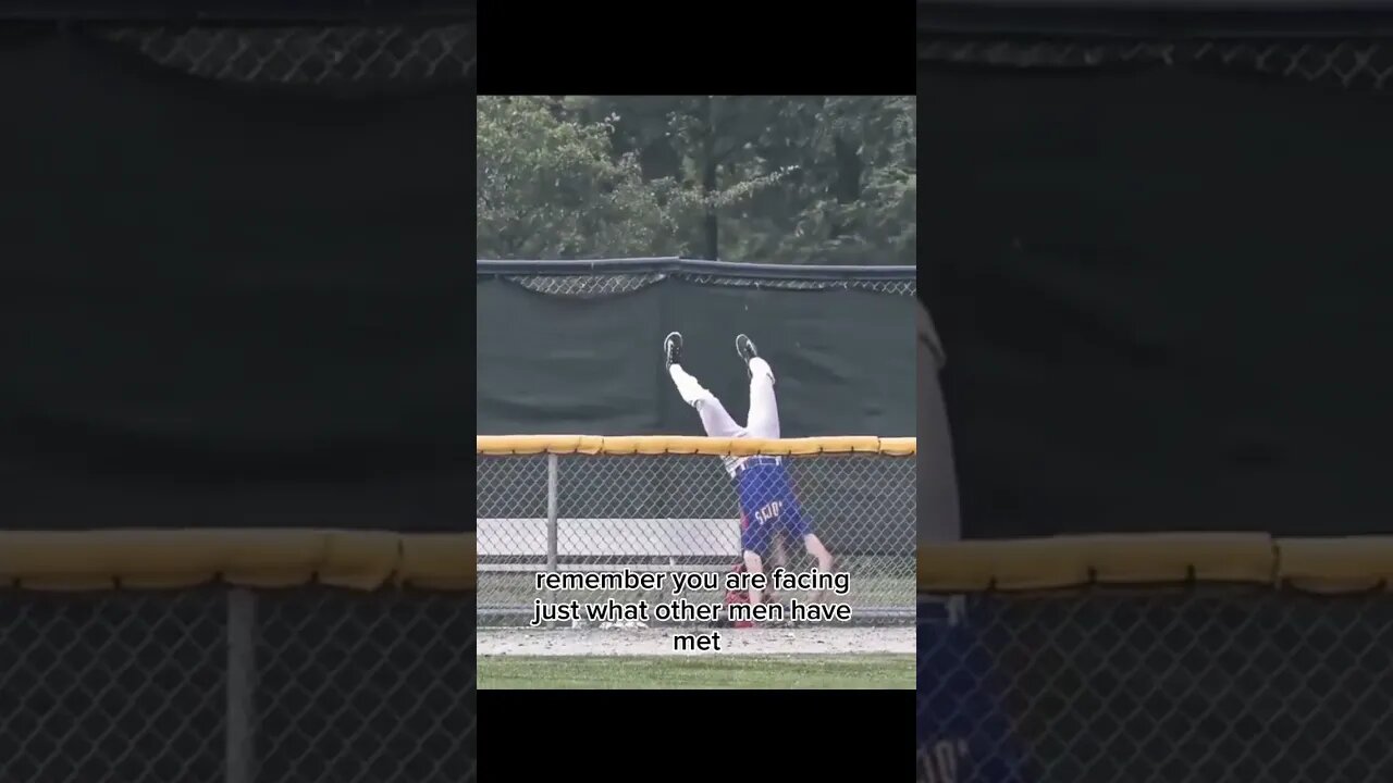 KID makes an amazing catch over the fence #poem by Edger Allen Guest #zoobox #baseball #mrmiyagi