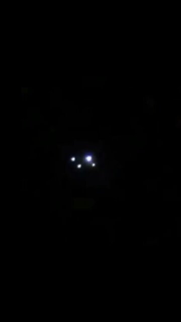 UFO in Mexico on 08-Feb-2022?!?!?!
