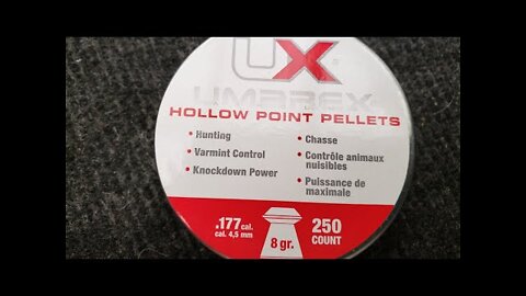 Part 1 - Loki, Umarex 8 grain Hollow Point .177 cal pellets and a Flashpup