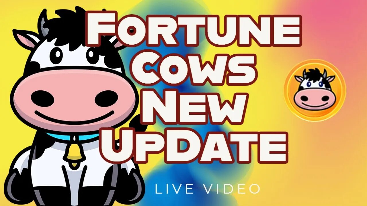 Up to Date Info On the New ANNOUNCEMENT for Fortune Cows