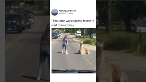 #shorts #foryou #foryoupage #viral #dashcam
