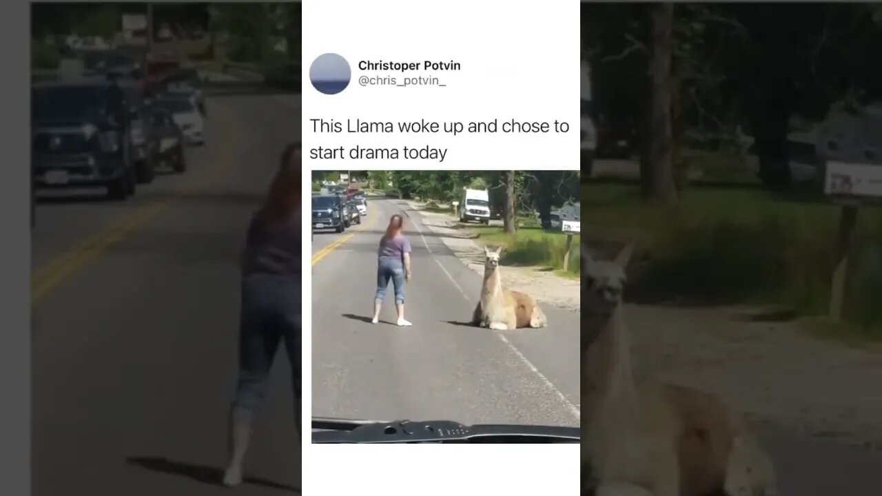 #shorts #foryou #foryoupage #viral #dashcam
