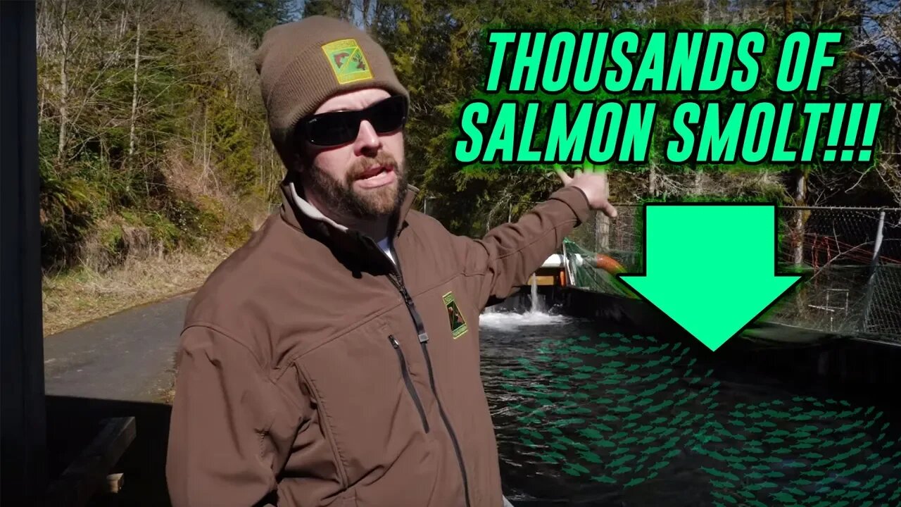 An INSIDE Look Into Salmon & Steelhead Acclamations PONDS