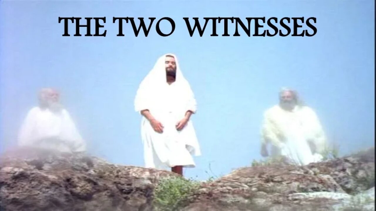 The War against the two Witnesses - The Son of Perdition