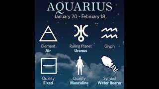 All about aquarius [GMG Originals]