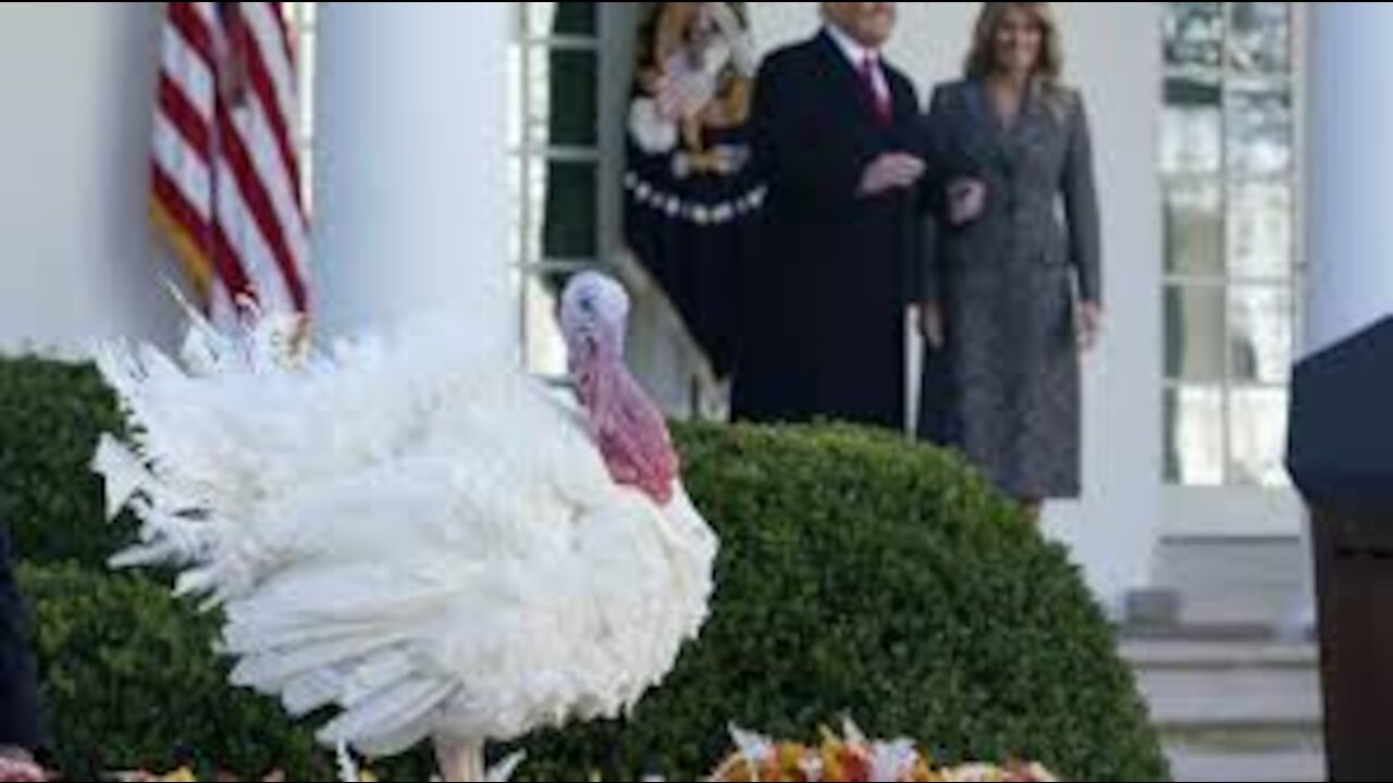 We Still Have Every Reason to Give Thanks