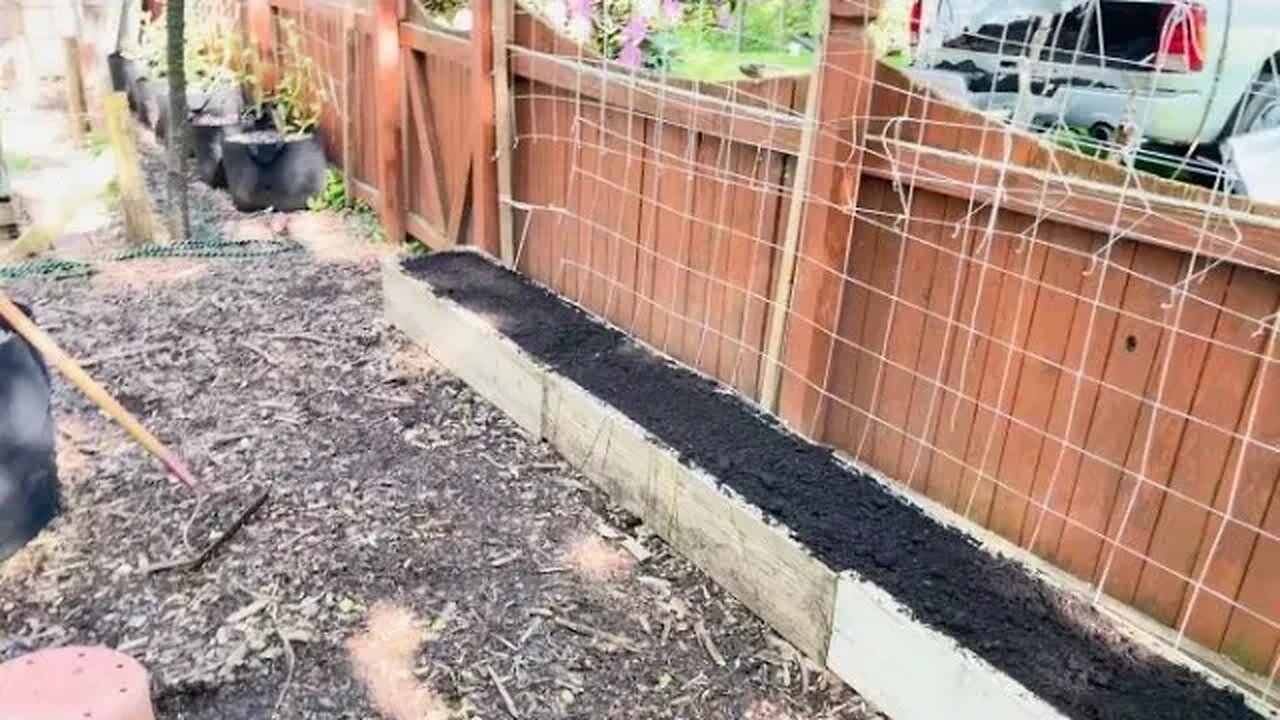 Filling some small raised beds