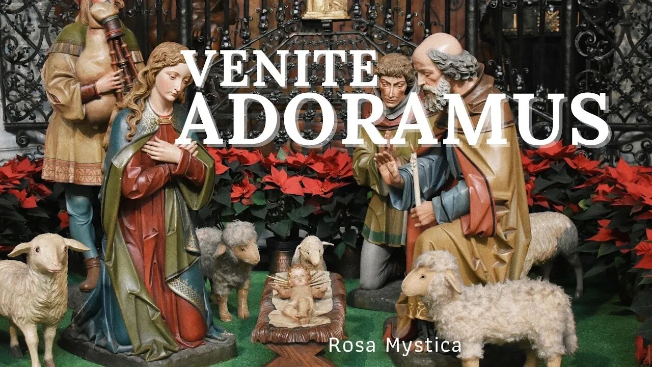 VENITE ADOREMUS