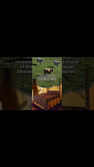Daniel 2:17-23 #bible #Jesus #christian #god #Lord