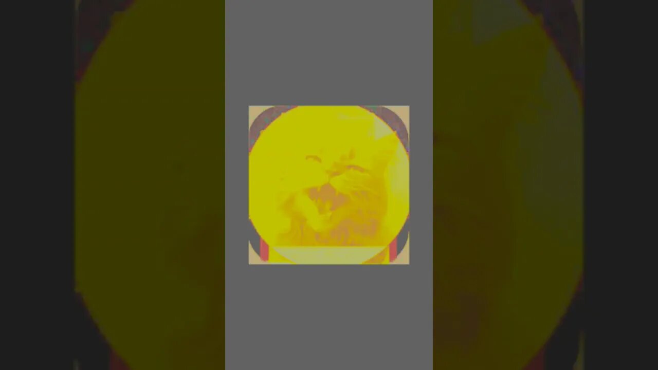 I EDITED MY PROFILE PICTURE 50 TIMES...