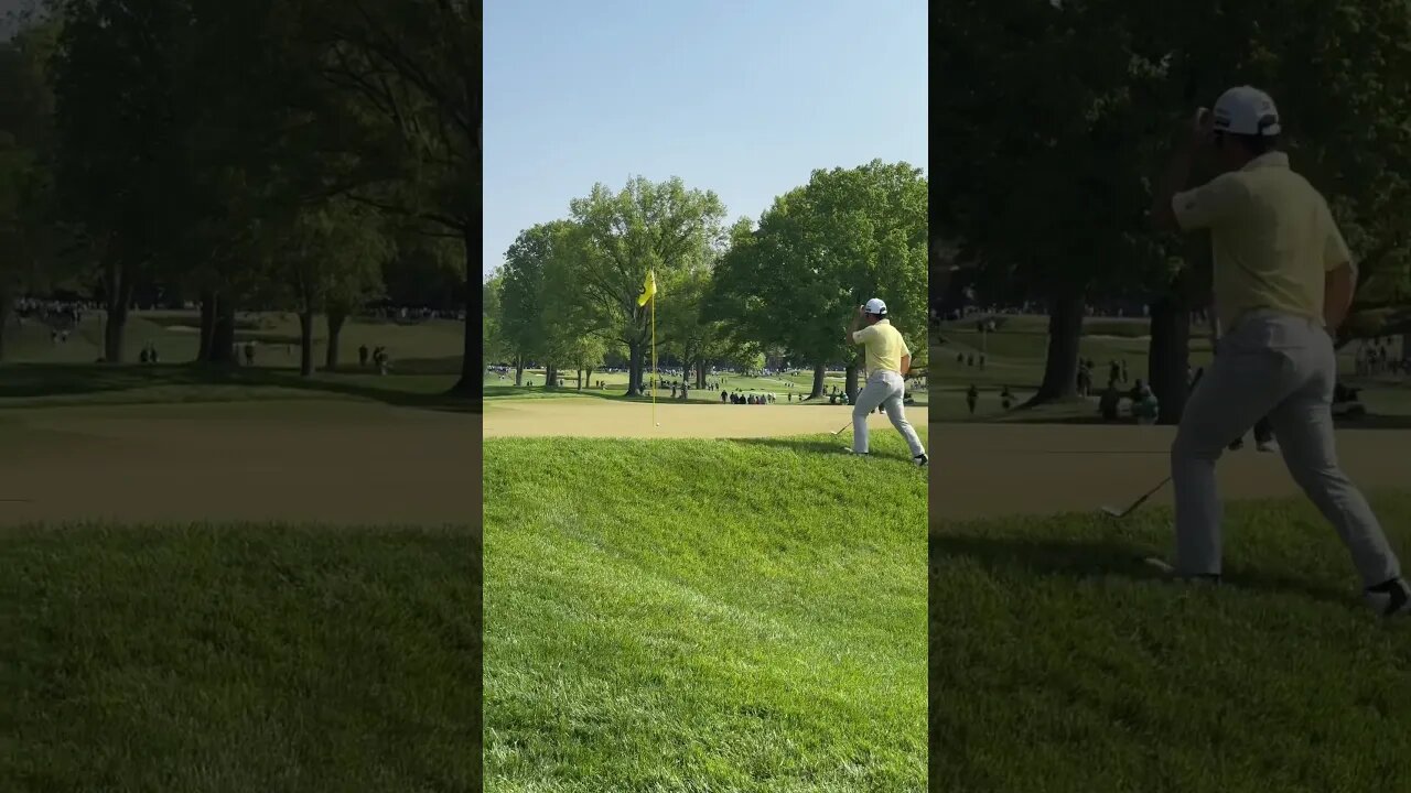 When you know it has no chance! #youtubeshorts #shortsfeed #walking #pgachampionship