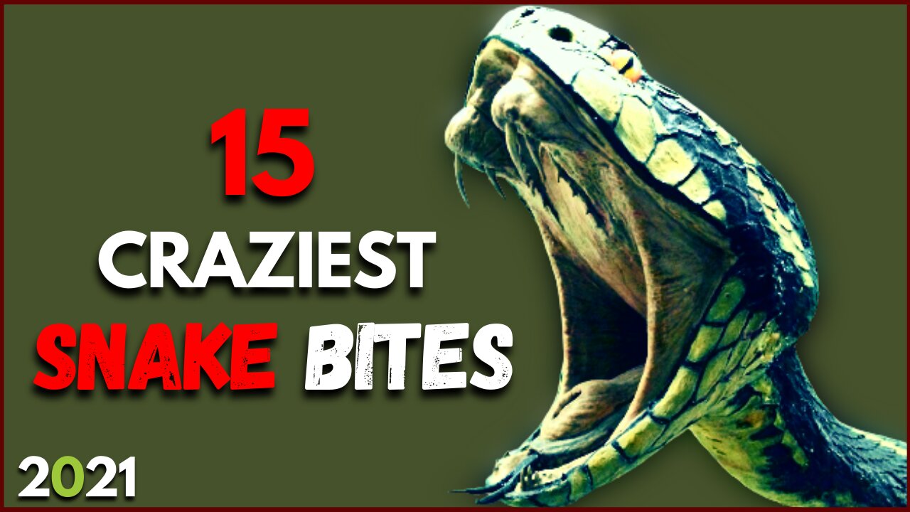 Top Insane Snake Bites On Human - Top Insane Snake Bites Compilation 2021