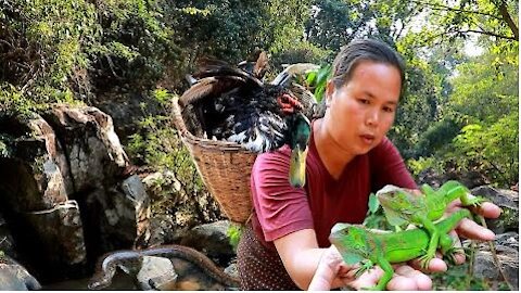 woman found 4 ducks for cook, lizards and Eat with my pet