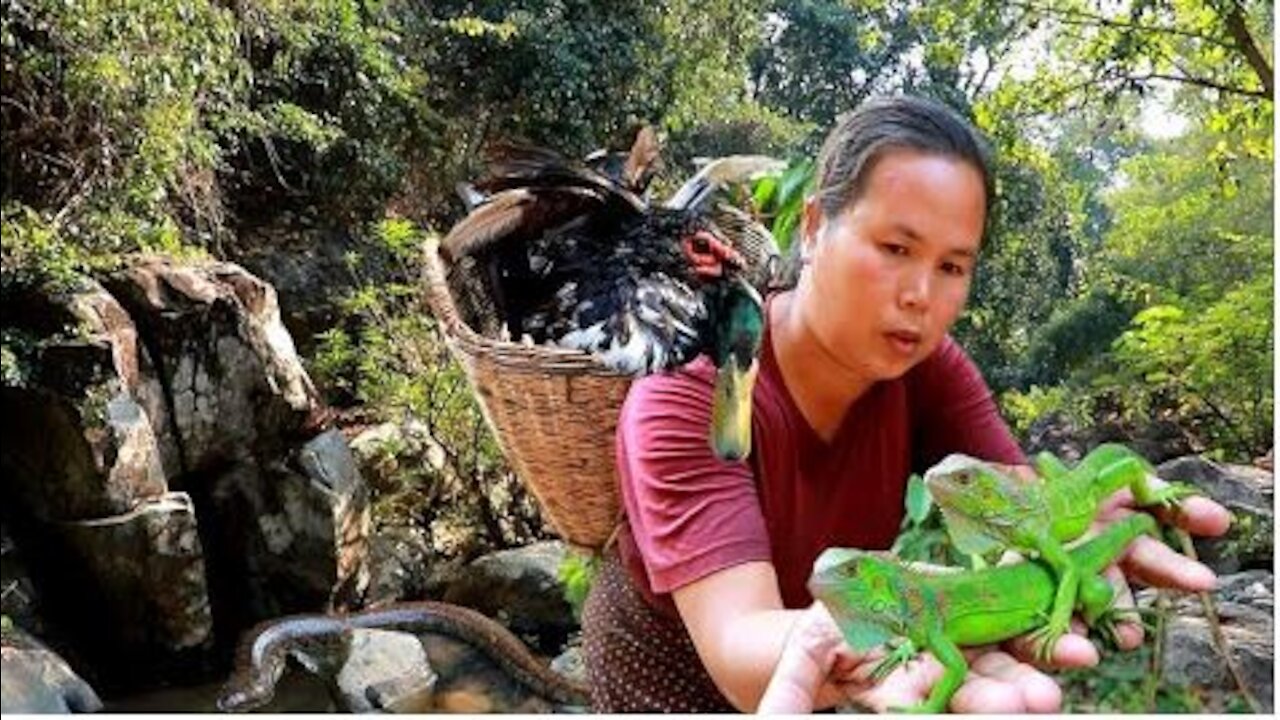 woman found 4 ducks for cook, lizards and Eat with my pet