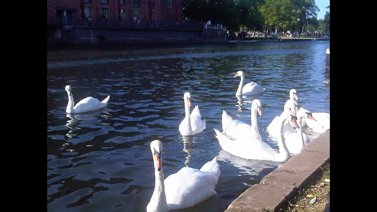 Stratford Upon Avon in the Summer