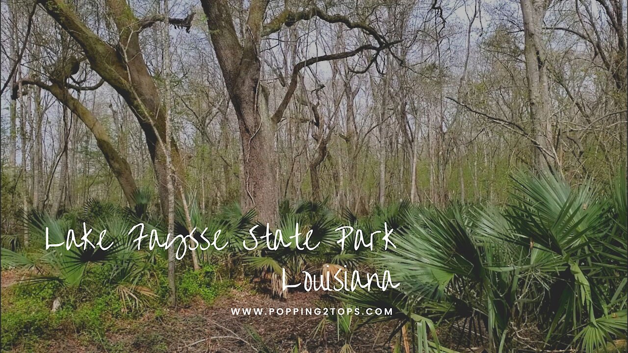 Lake Fausse State Park | Camping Close to Home