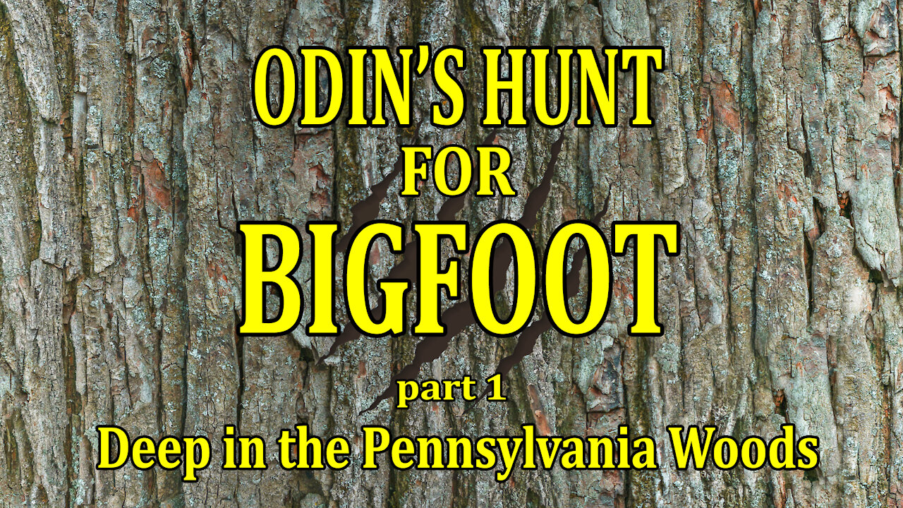 Odin's Hunt For Bigfoot - part 1 - Deep in the Pennsylvania Woods
